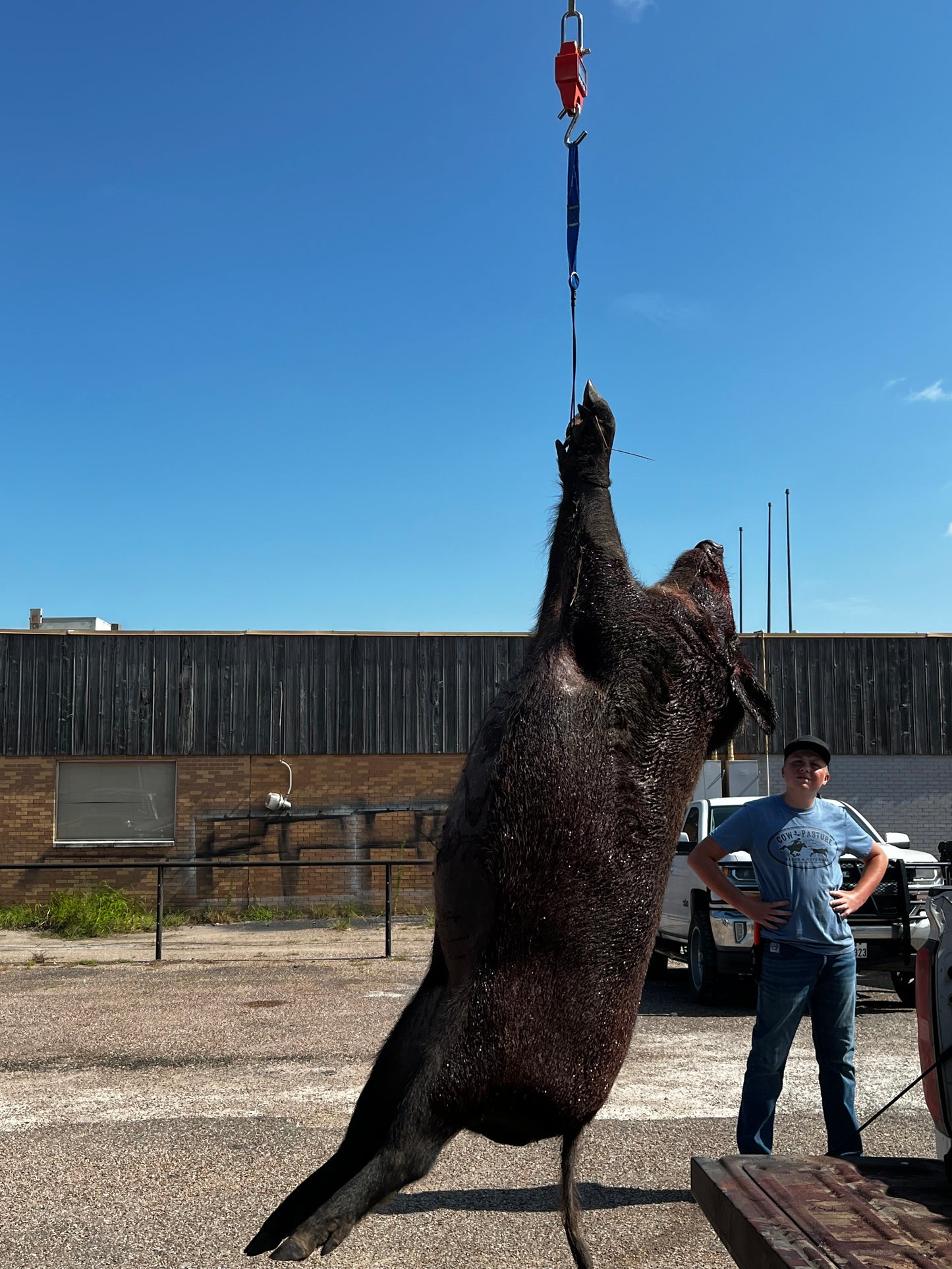 Weigh In Hanger