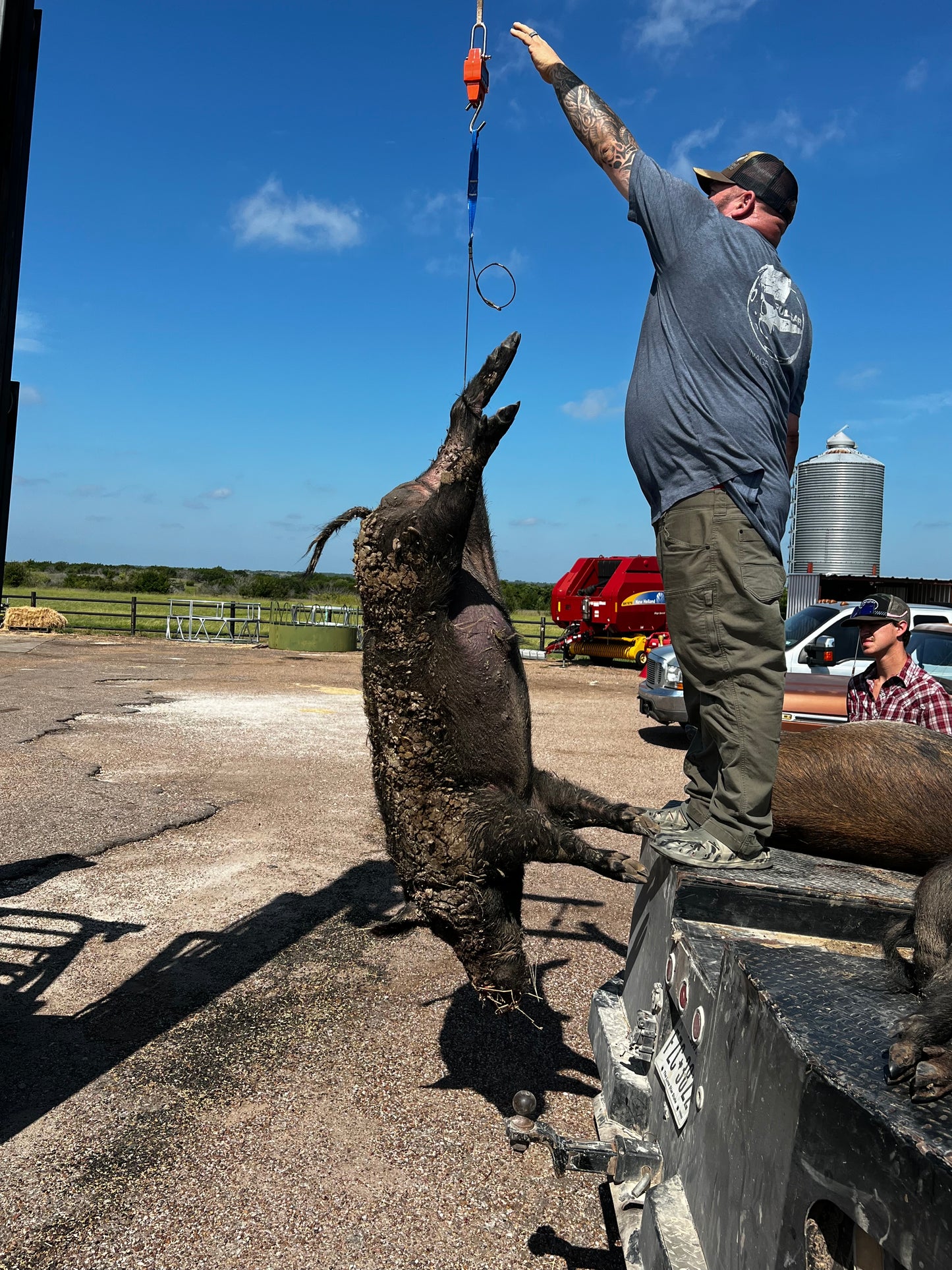 Weigh In Hanger