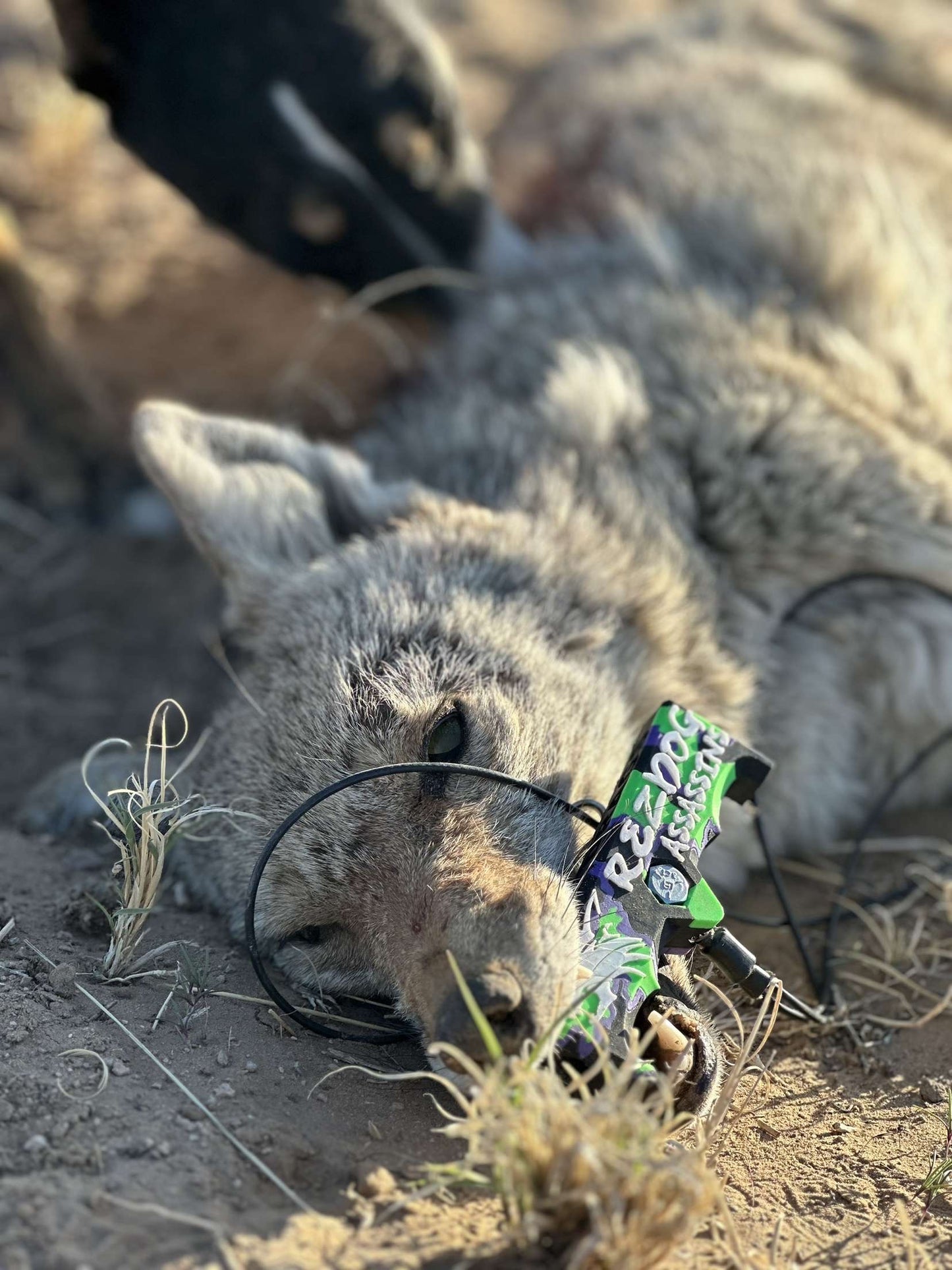 Camo Drag