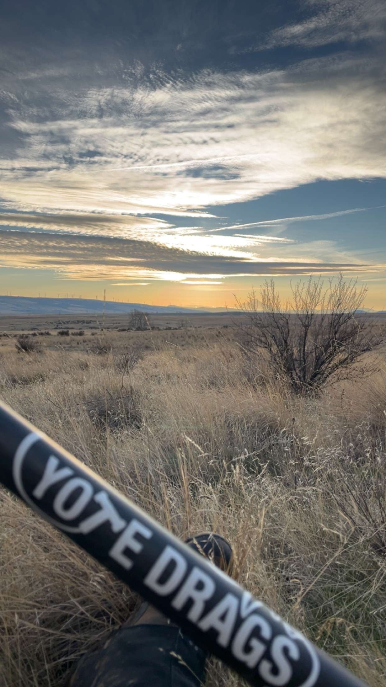 Window Decal image 1