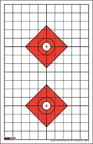 EZ2C Targets #13: Shooting Range Paper Target w 1" Grids 11"x17” USA MADE