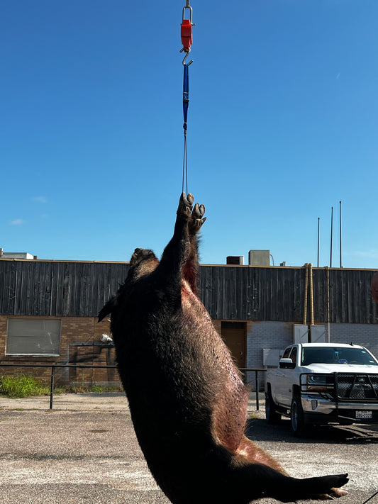 Weigh In Hanger