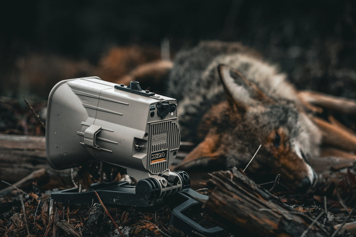 FOXPRO X24
