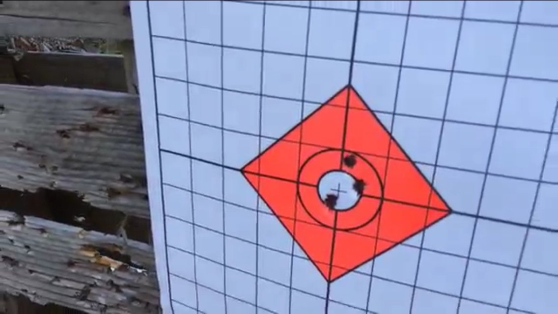 EZ2C Targets #13: Shooting Range Paper Target w 1" Grids 11"x17” USA MADE
